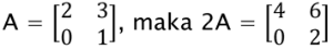 Perkalian Matriks dengan Skalar